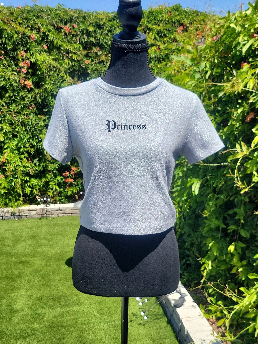 Silver Glitter Sparkly "Princess" Crop Top L